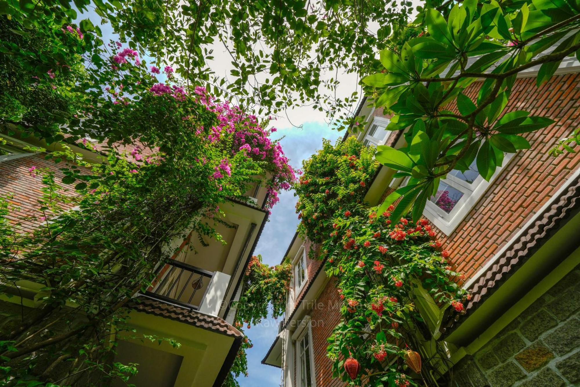 Ancient Garden Boutique Hoi An Exterior foto